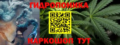 сатива Славгород