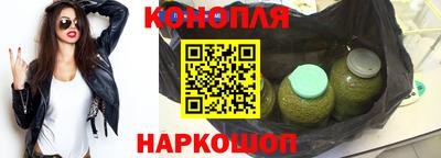 сатива Славгород