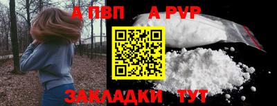 сатива Славгород