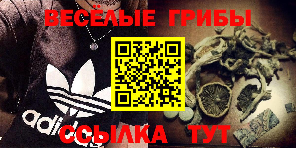 Псилоцибиновые грибы мицелий  Вход с VPN  Новочеркасск 